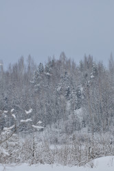 Similar image 21721651