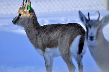 Similar image 21721652