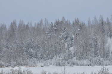 Similar image 21721653