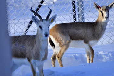 Similar image 21721654