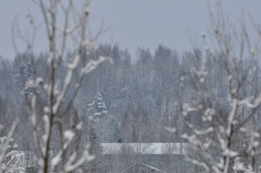 Similar image 21721655