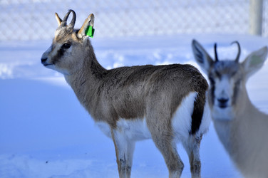 Similar image 21721657