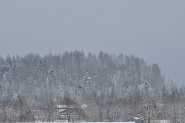 Similar image 21721658