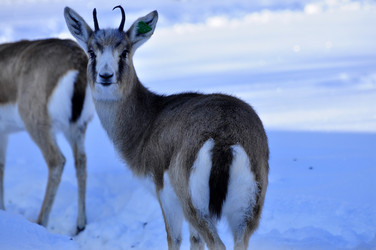 Similar image 21721659