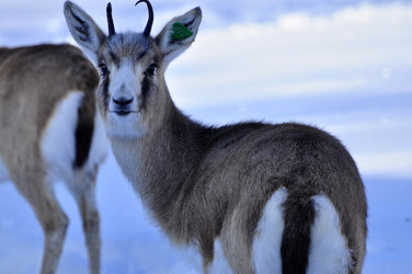 Similar image 21721661