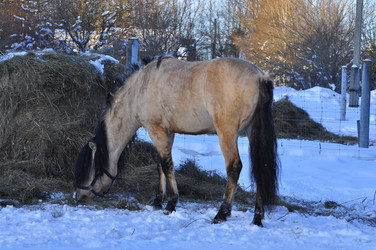 Similar image 21721662