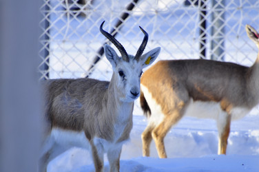 Similar image 21721663