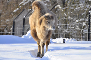 Similar image 21721666