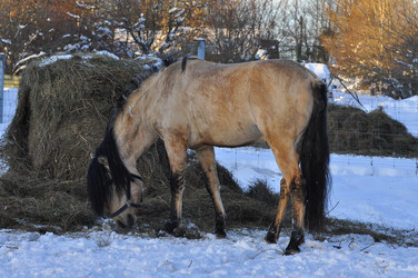 Similar image 21721667