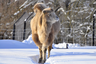 Similar image 21721668