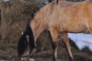 Similar image 21721669