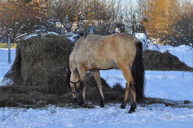 Similar image 21721670