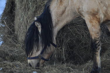 Similar image 21721672