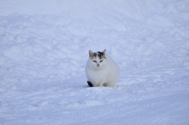 Similar image 21721673