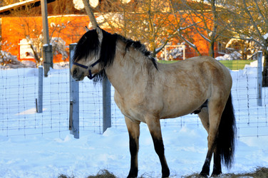 Similar image 21721675