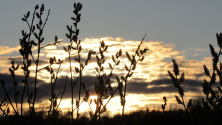 Similar image 21721871