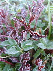 Similar image 21721872