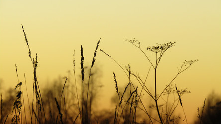 Similar image 21721873