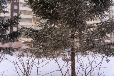 Similar image 21757909