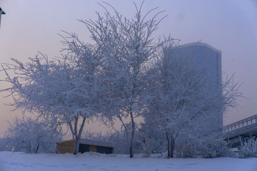 Similar image 21757920