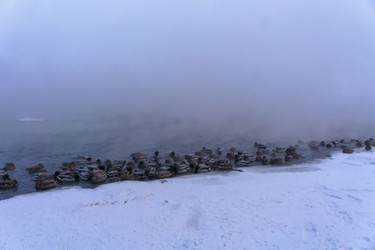 Similar image 21757928