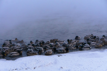 Similar image 21757930