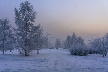 Similar image 21757937