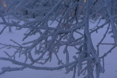 Similar image 21757682