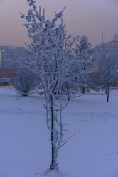 Similar image 21757685