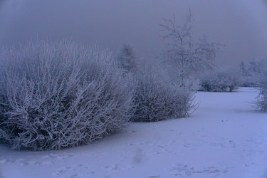 Similar image 21757688