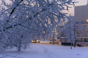 Similar image 21757695