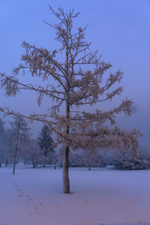 Similar image 21757696