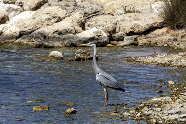 Similar image 21751868