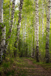 Similar image 21720688