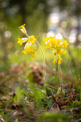 Similar image 21720690