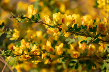 Similar image 21720691