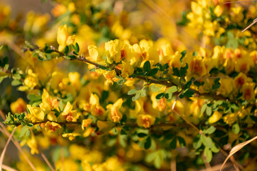 Similar image 21720692