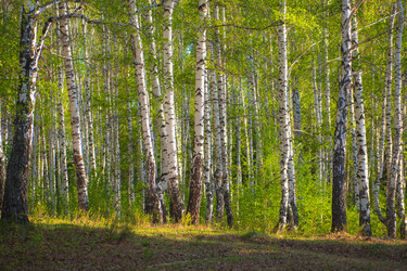 Similar image 21720693