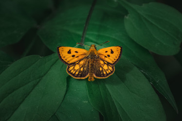 Similar image 21720798