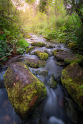 Similar image 21720799