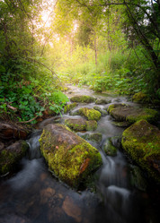 Similar image 21720800