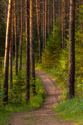 Similar image 21720801