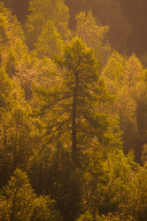 Similar image 21720802