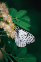 Similar image 21720804