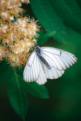 Similar image 21720805