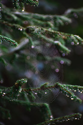 Similar image 21720806