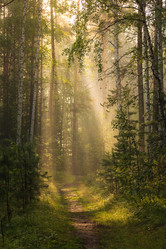 Similar image 21720808