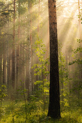 Similar image 21720809