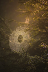 Similar image 21720811