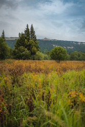 Similar image 21720812